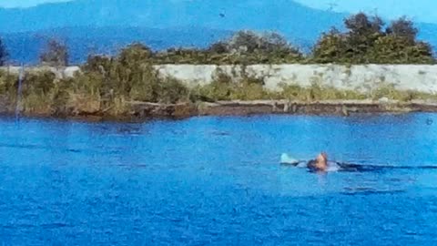 Aug 62 Alouette River Picnic Water Skiing White Rock Train Dated 1961