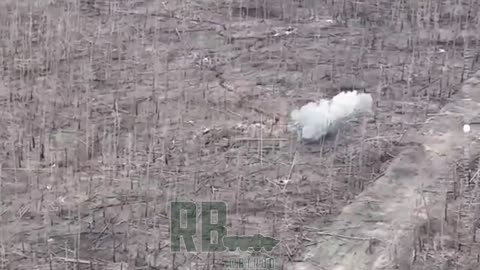 Russian artillery clean the line of contact before advances. Serebryansky forest, Luhansk