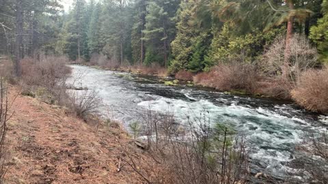 Unbelievably Beautiful Metolius River – Central Oregon