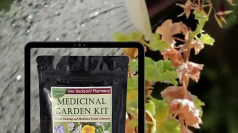 Medicinal Garden Kit