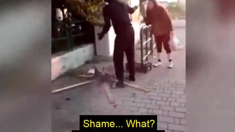 🇮🇹 Immigrants cooking Cats in the street in Italy