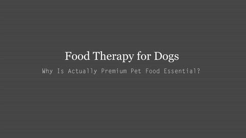 Why Is Top Quality Pet Food Items Vital?