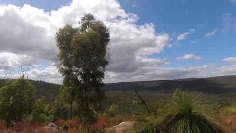 Helena Shelter on the Bibbulmun Track