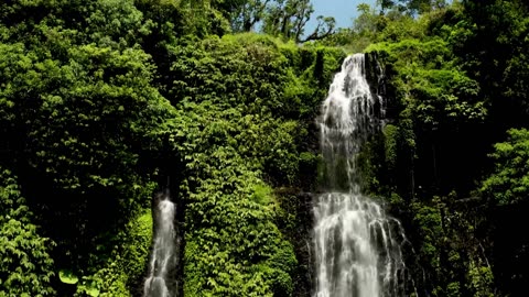 In the Realm of Giants: A Stunning Amazon Rainforest Adventure