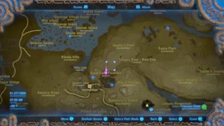 MAX FARIES IN ZELDA BREATH OF THE WILD (21)