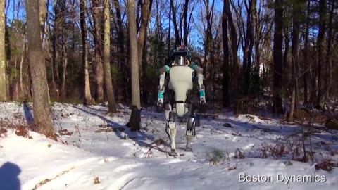 Boston Dynamics' amazing robots Atlas and Handle