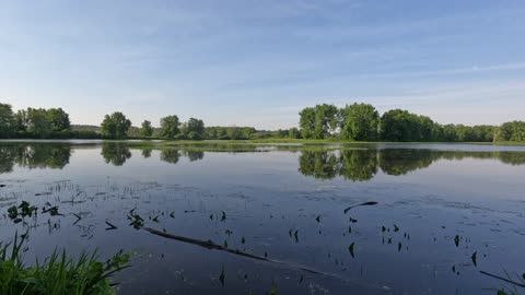 🌴 Walking ☀️ Island Beach Part 4 In Ottawa 🌊 Canada 🍁