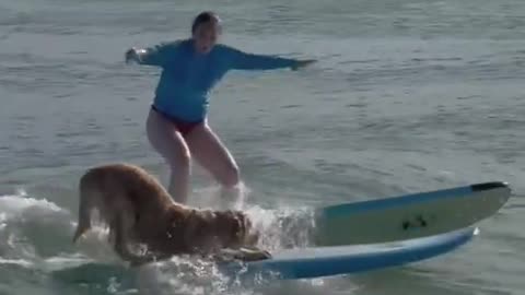 Imagine struggling to learn surfing and this dude passes you