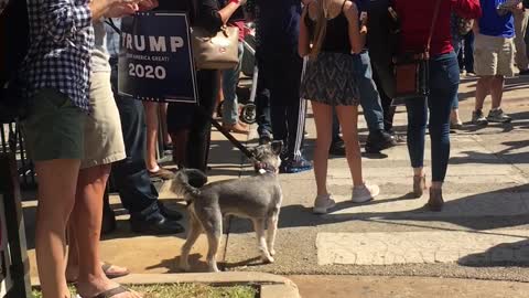 Trump Rally Austin, TX