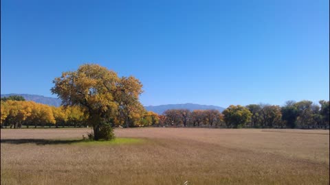 Autumn Solar Meditation