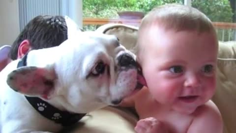 Babies Meeting Animals For the first time and Hilarious Reactions Funniest Home Videos