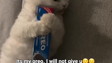 It's my oreo, I will not give u😂🤣😁