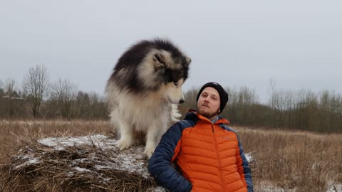 Man Posing with Alaskan