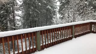 Northern Idaho in November