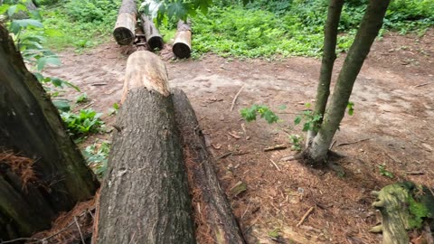 🚶‍➡️ Hiking @ Bruce Pit Lake Trails In Ottawa 🌳