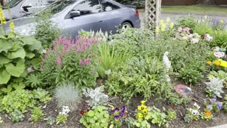 Flowering entrance