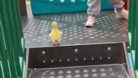 Toddler & Duckling Take the Slide: Friendship Goals! 🐥👶🛝💦😂❤️