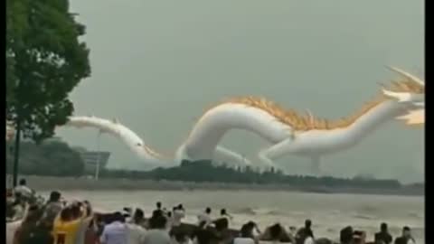 Tik tok chinese dragon