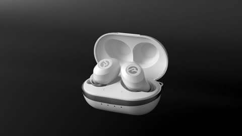 Raycon The Everyday Bluetooth Wireless Earbuds