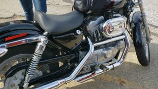 2003 Harley Sportster 883