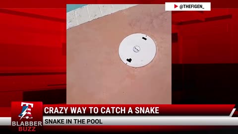 Crazy Way To Catch A Snake