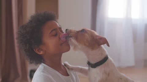 Cute puppy and girl love | So Innocent