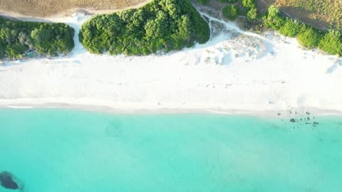 Natural Beauty of the Beaches