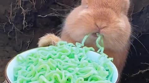 The little bunny eating vegetable noodles makes me crave them too.