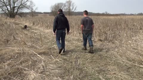 Wisconsin Swamp Bucks