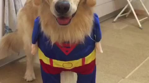 A superman