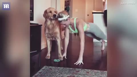 Playful dog makes push-ups impossible for his very patient owner