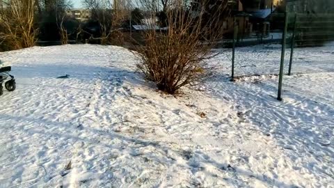 family having fun in winter