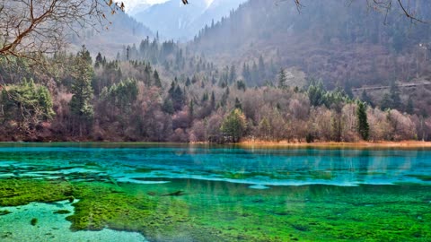 Discover Jiuzhaigou Valley: A Photographer's Dream!