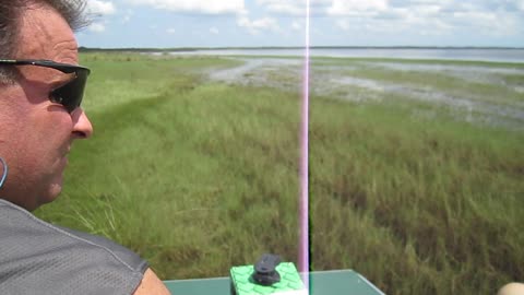 Afternoon airboat run