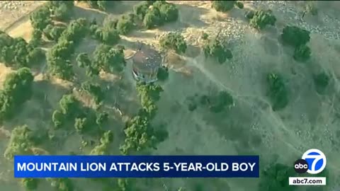 Mountain lion attacks 5-year-old boy at Malibu Creek State Park