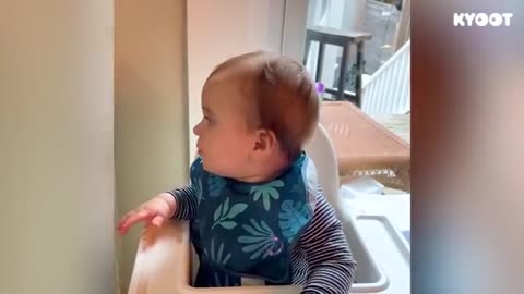 Funny babies song