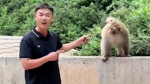 Naughty monkey