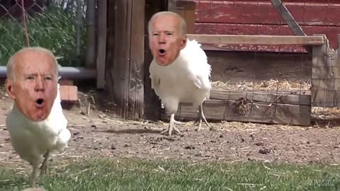 Chicken Biden