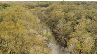 "The Bridge", Alderman's Ford Park, Lithia, FL. DJI Mavic 2 Pro