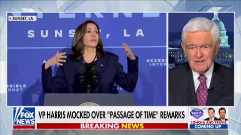 Newt Gingrich Has Perfect TAKE DOWN Of Kamala Harris