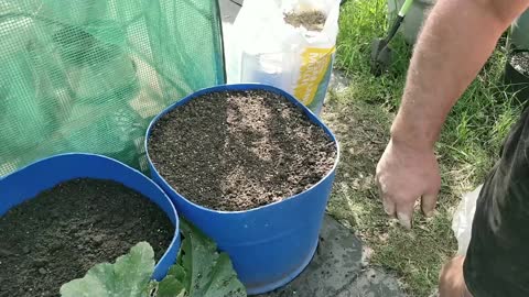 Trick For Heavy Container Soil