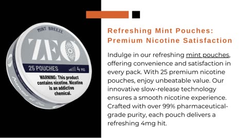 Refreshing Taste of Mint Pouches - Zeouniverse