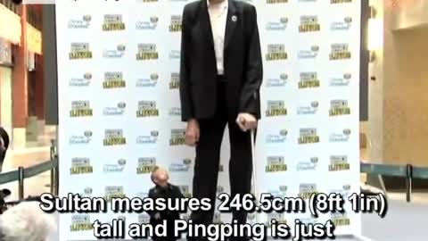 😂 😂 Tallest man VS shortest man 😂😂