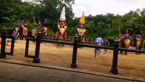 Elephant life in Thailand