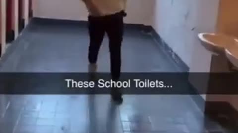 These school toilets