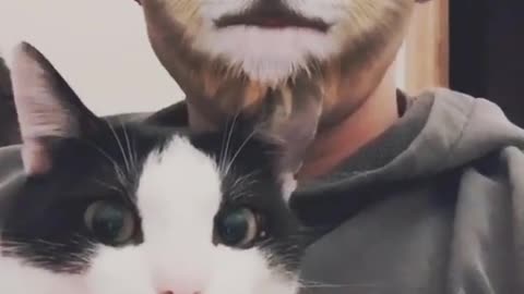 Cat has mind blown by owner's cat face filter