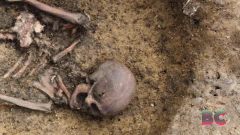 50 “exceptionally well-preserved” Viking skeletons unearthed in Denmark