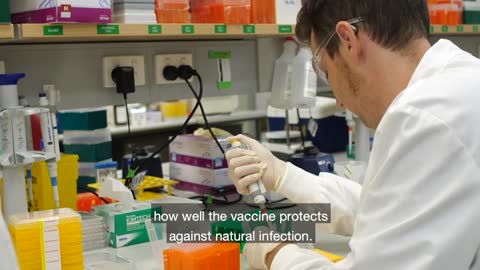 What are the different phases of Covid-19 vaccine development? | Wellcome