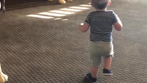 Toddler Accidentally Beheads New Friend