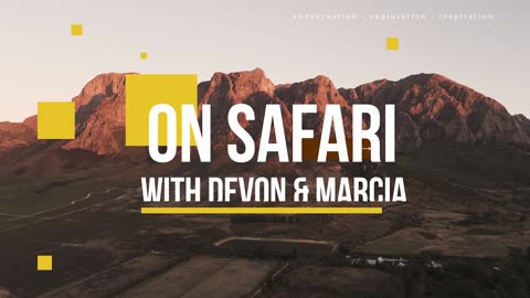 Kimpton's World 🌍 On Safari with Devon and Marcia - Bright Lights Late Night Travel Show